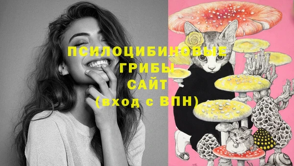 бошки Балахна