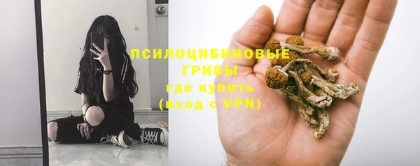 мяу мяу мука Баксан