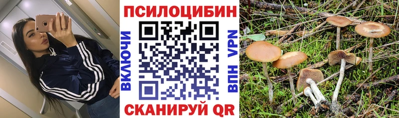 Галлюциногенные грибы прущие грибы  Лагань 